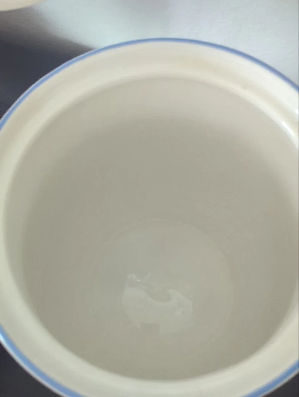 Vintage White Ceramic Canister with Pink Tulip and Blue Trim